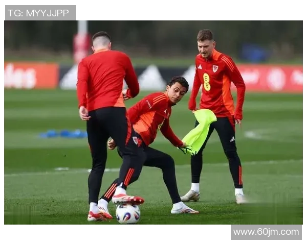 比利时足球主力球星现状及其在国际赛场的表现分析